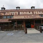 MotteMuseum_0019 (May 23, 2015)